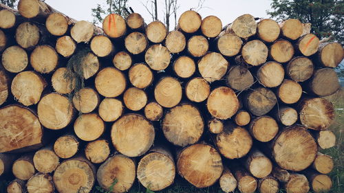 Full frame shot of logs