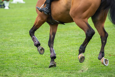 Low section of person standing on field