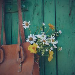 Close-up of flowers on wooden door