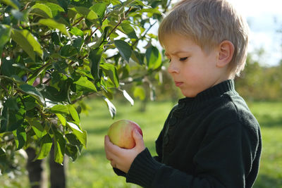 Portrait of boy holding fruit