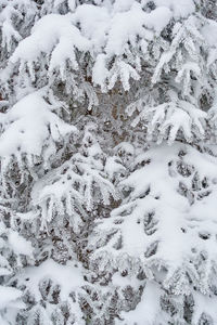 Full frame shot of snow covered field