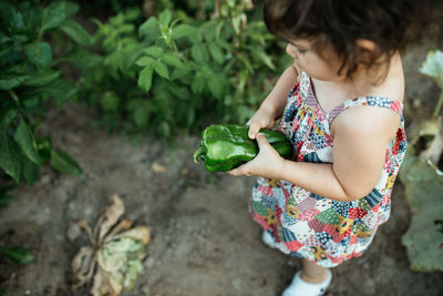 High angle view of girl holding plant