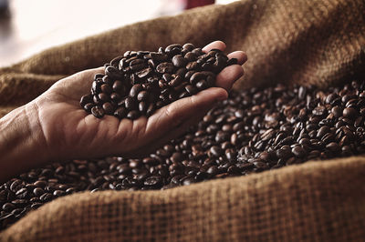 Close-up of hand holding coffee beans