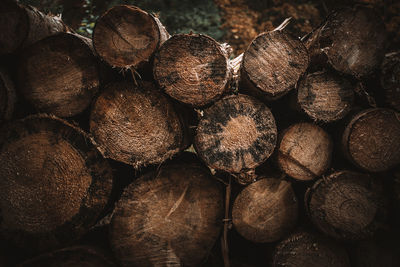 Full frame shot of logs