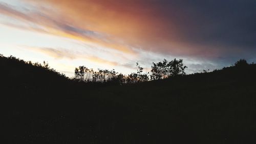 Silhouette trees against sky during sunset