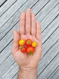 Cropped image of person holding fruits