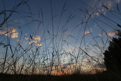 Silhouette of trees on field against sky at sunset