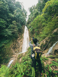 Rear view of man against waterfall in forest