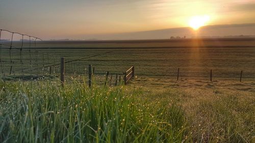 Scenic view of field against sky during sunset