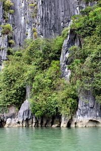 Scenic view of waterfall