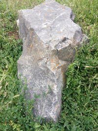 High angle view of rocks on field