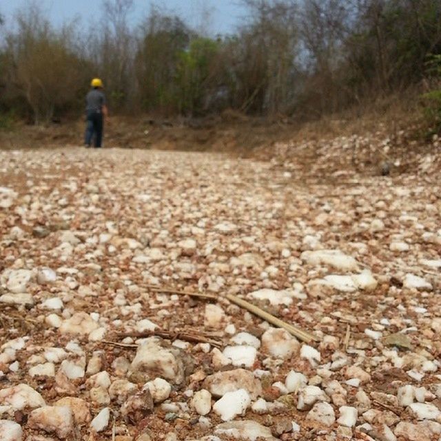 ธรรมชาติสร้างสรรค์