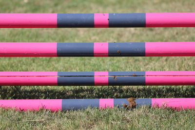 Full frame shot of multi colored pencils on field