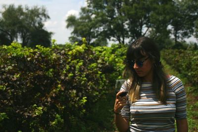 Young woman holding wineglass while standing at vineyard