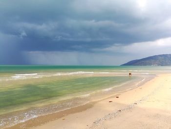 Scenic view of beach against sky