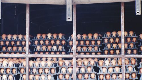 Low angle view of egg crates arranged on shelves