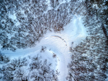 Aerial view of the forest in winter time with footsteps on the trail in asturias, spain.