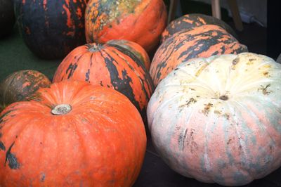 Close-up of pumpkins