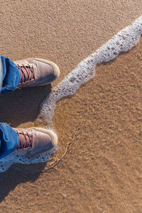 Low section of man standing on beach