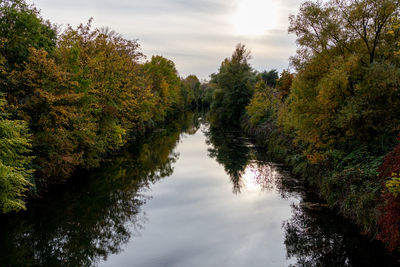 Scenic view of river amidst trees against sky