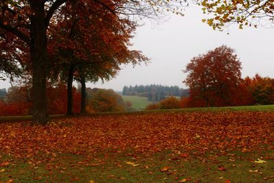 Scenic view of field against sky during autumn