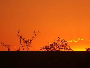 Silhouette birds on landscape against orange sky