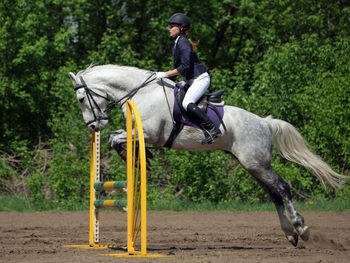 Side view of woman riding horse against tree