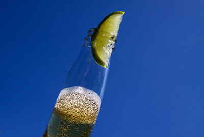 Close-up of drink against blue background