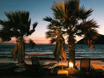 Palm trees on beach during sunset