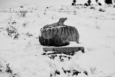 Rocks on snow covered field