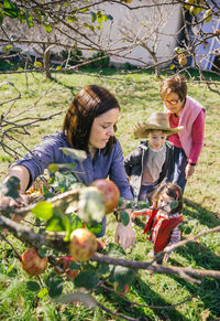Young woman with family picking apple on field
