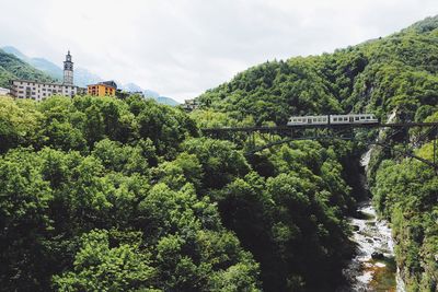Scenic view of trees against sky
