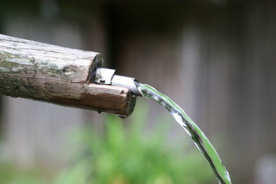 Close-up of water pipe on wood