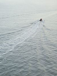 High angle view of boat sailing in sea