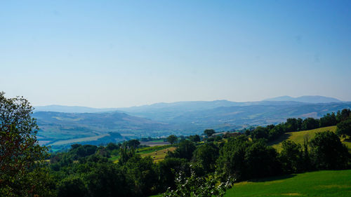 Scenic view of landscape against clear sky