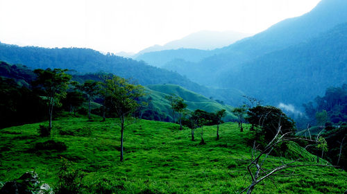 Scenic view of landscape against mountains