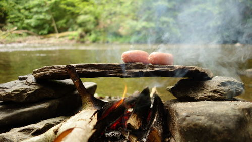 Sausages cooking over campfire by river