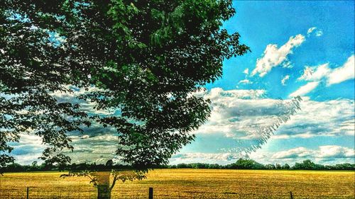 Scenic view of rural landscape