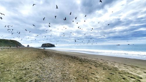 Scenic view of beach against sky