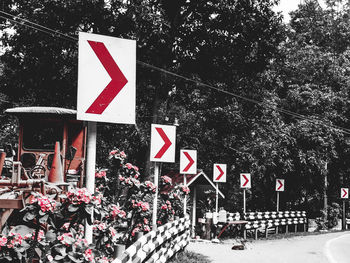 View of trees in city