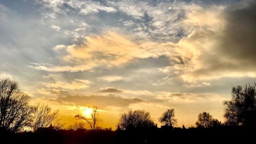 Low angle view of silhouette trees against sky at sunset