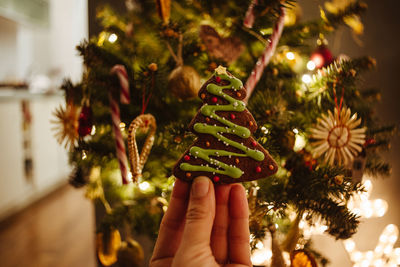 Close-up of hand holding christmas tree