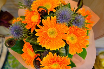 High angle view of orange flowering plant