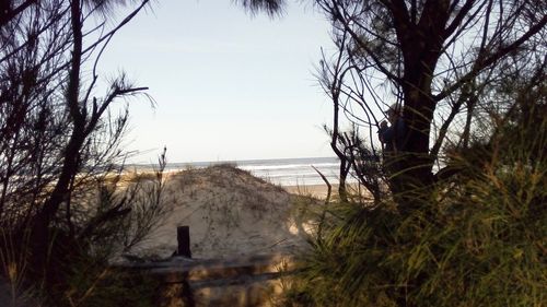 Scenic view of sea against clear sky