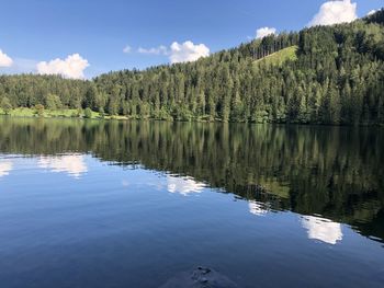 Scenic view of lake in forest against sky