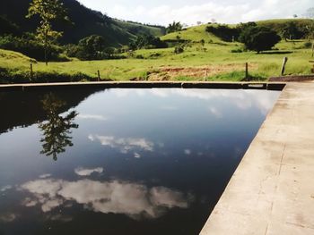 Reflection of trees in lake