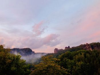 Panoramic view of trees on landscape against sky during sunset