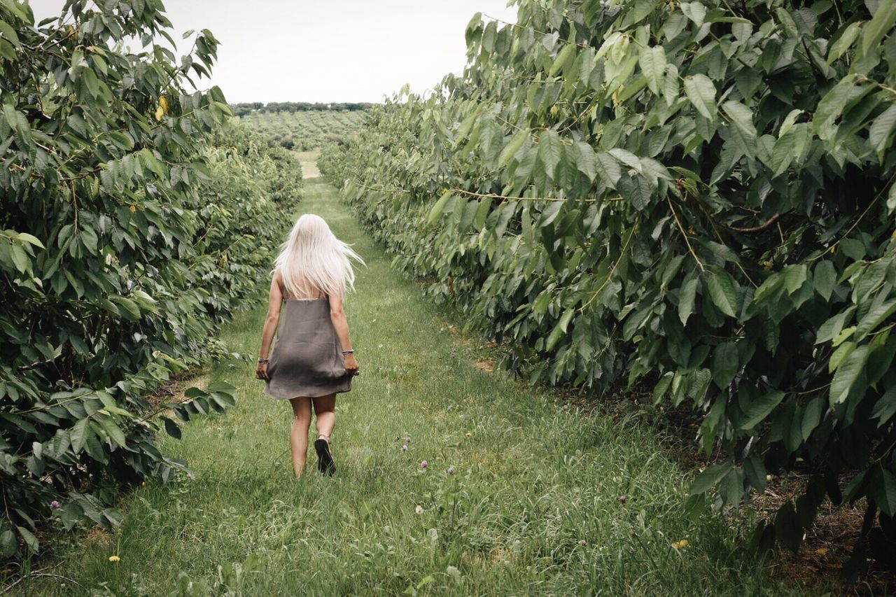 REAR VIEW OF WOMAN WALKING ON FARM