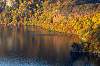 Scenic view of lake by trees during autumn