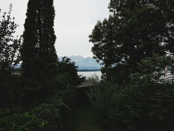 Scenic view of calm lake